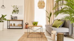 Indoor Plant Home Décor for Homes
